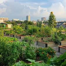UrbanGarden_FutureValues