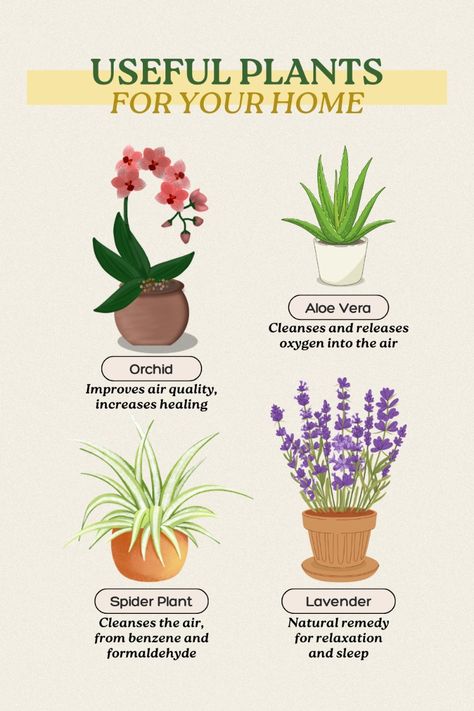 Usefull plants