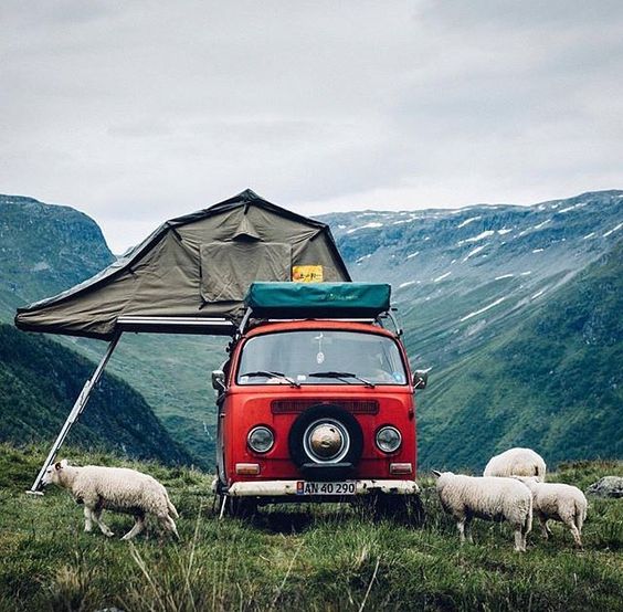 Van_With_Sheep