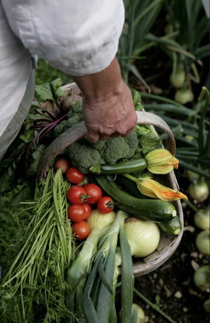 Vegetables
