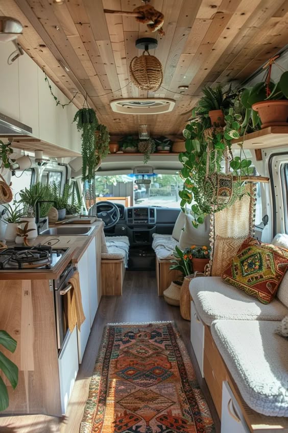 White and plants interior
