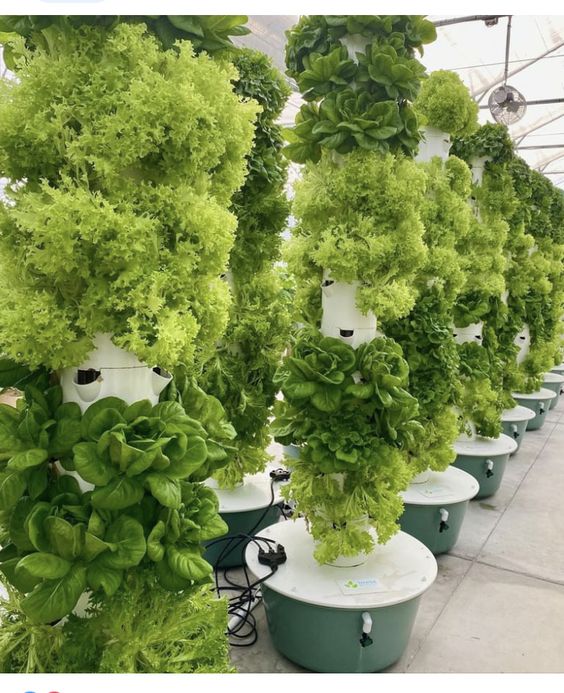 Agriculture tech