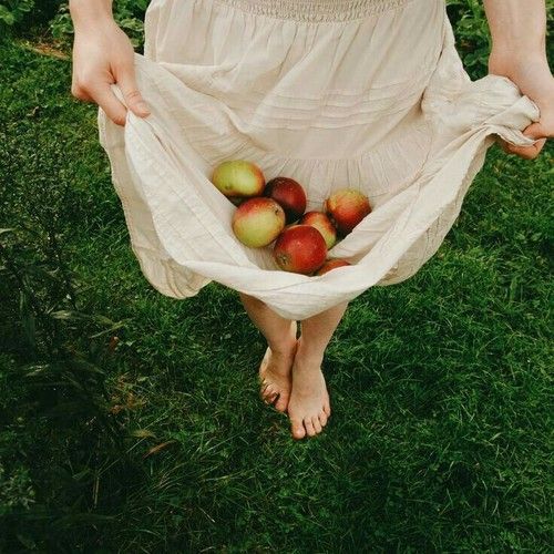 Apple picking