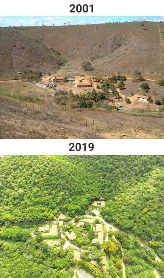 Before after