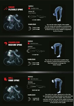 Bike data specifications