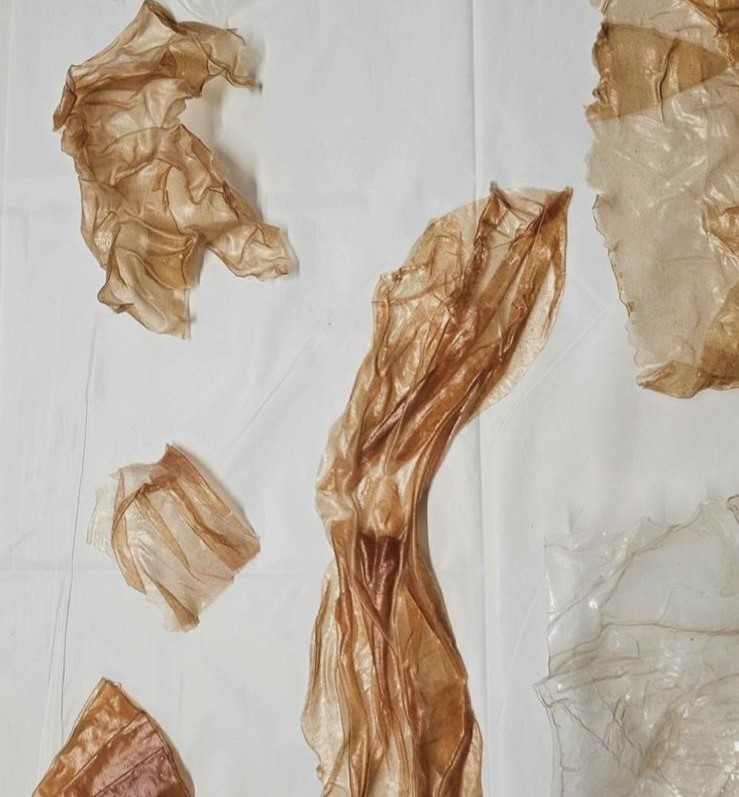 biodegradable fabric