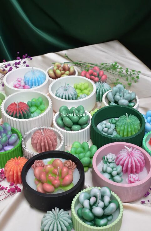 Cacti candles