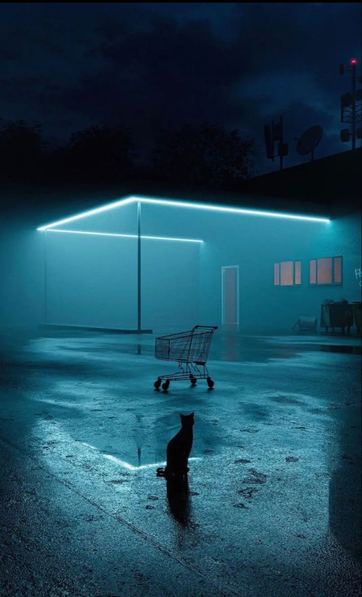 cat gasstation