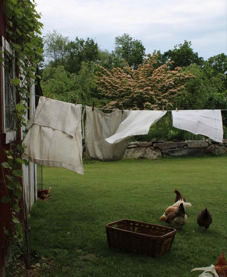 Clothes hanging out to dry