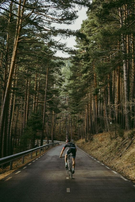 cycling-alone-forest