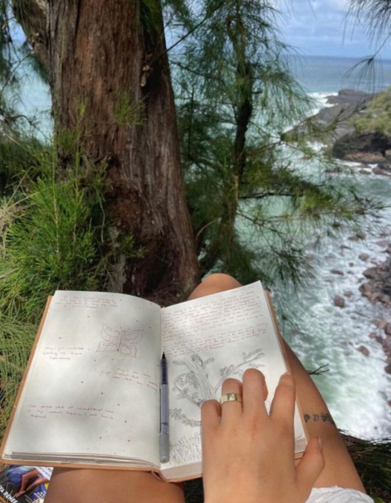 drawing-book-nature