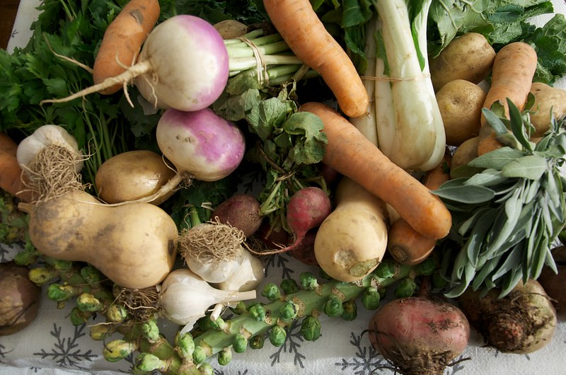 farmtotable-farming produce-1