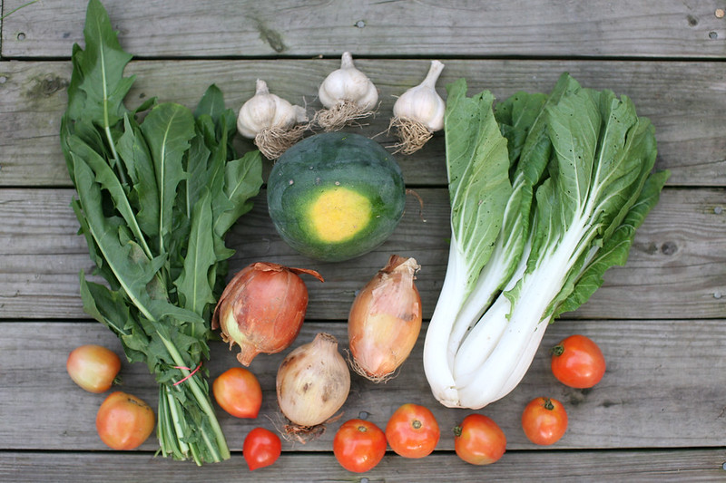 farmtotable-farming produce-2