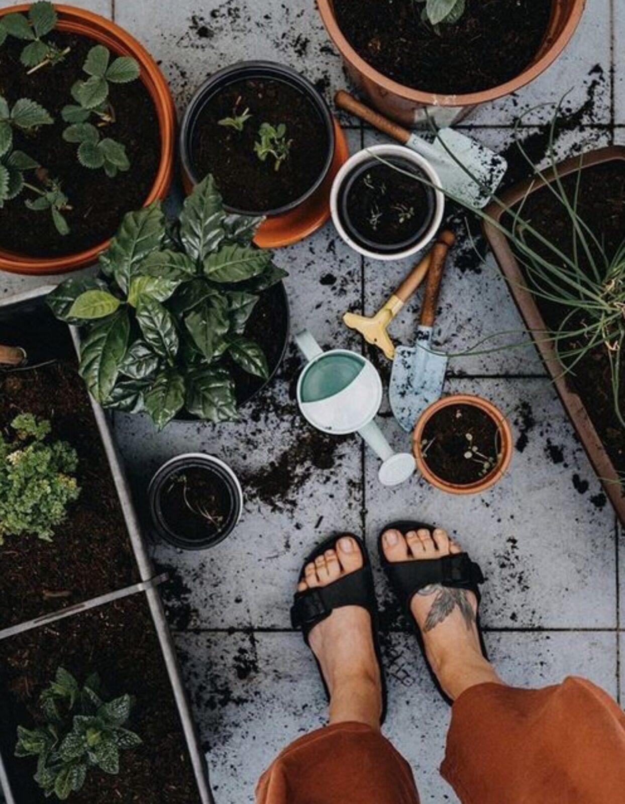 feet-pots-soil