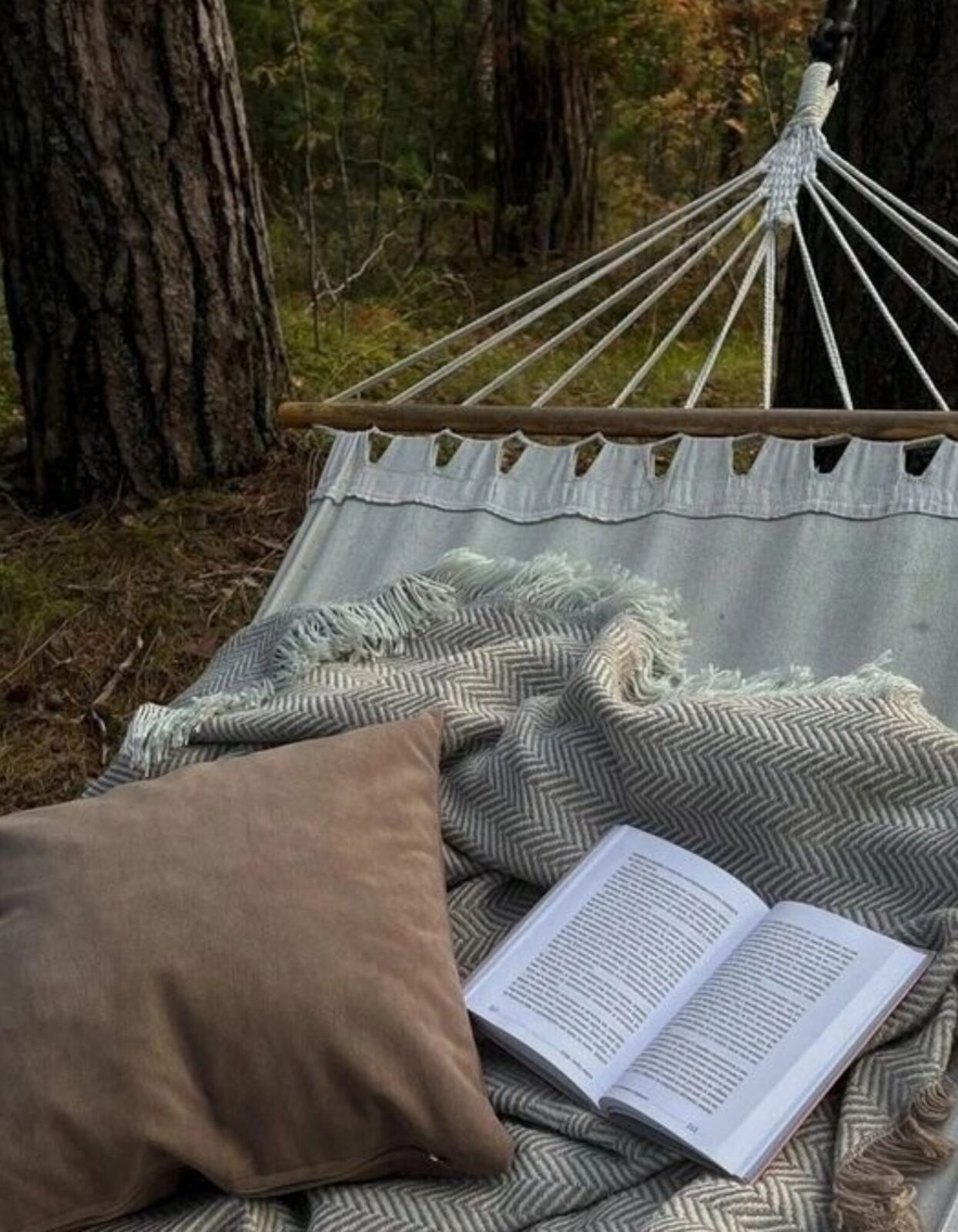 hammock-book