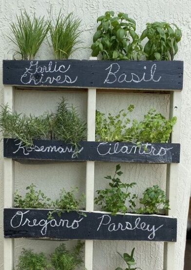Herbs