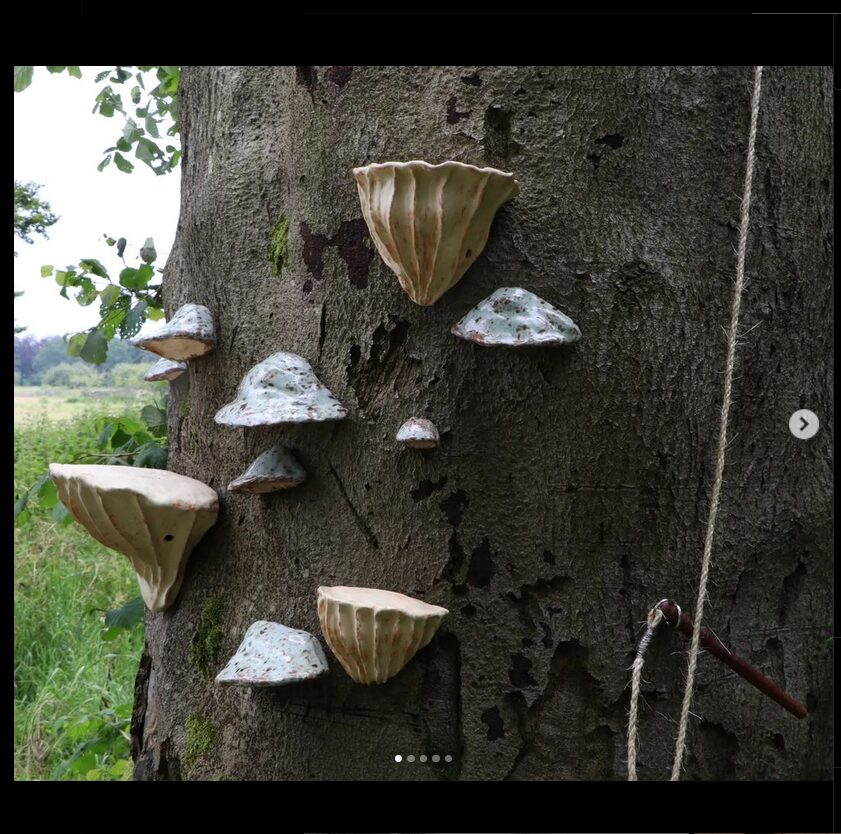 human-and-nature-3
