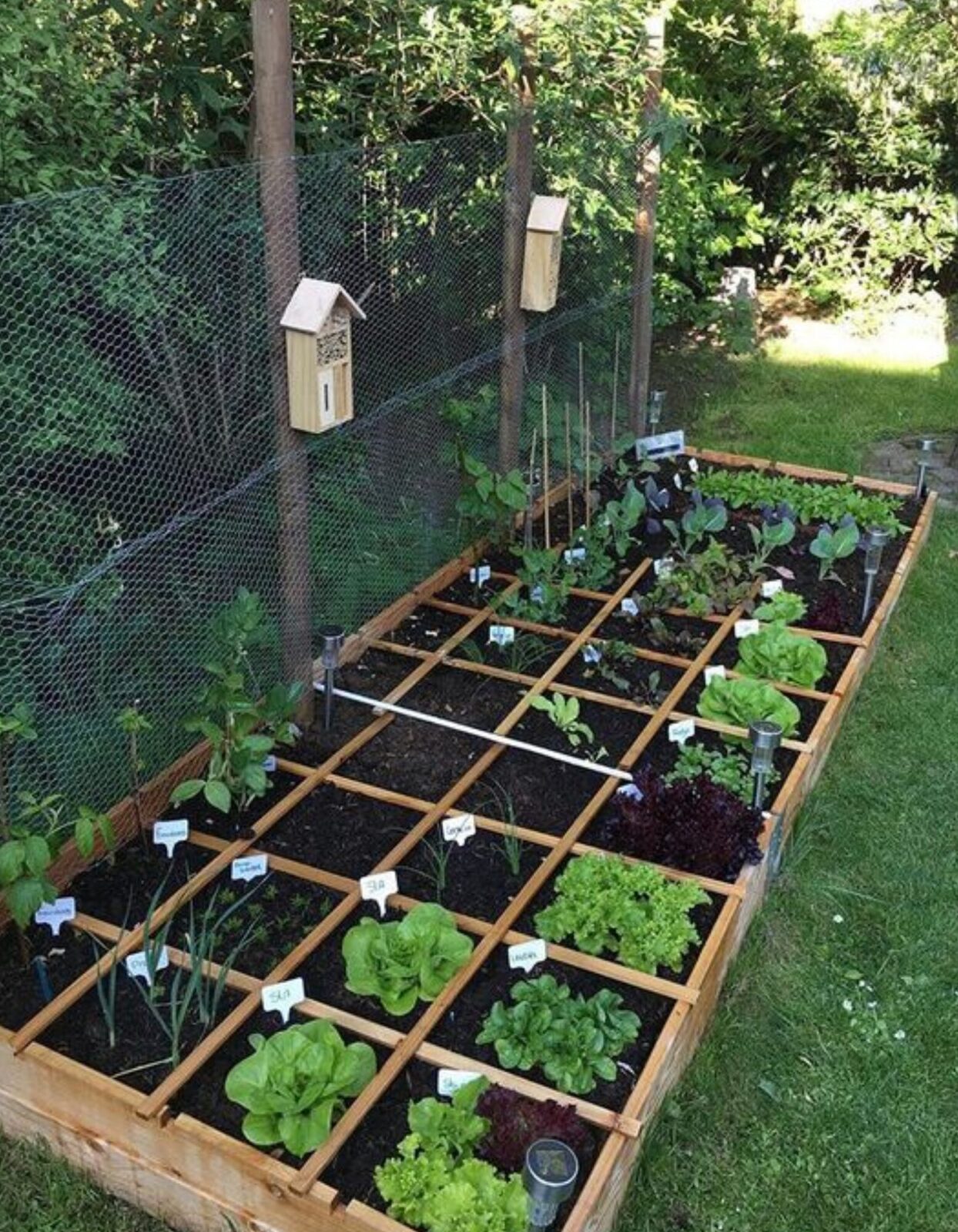 kitchen-garden-compartments-herbs