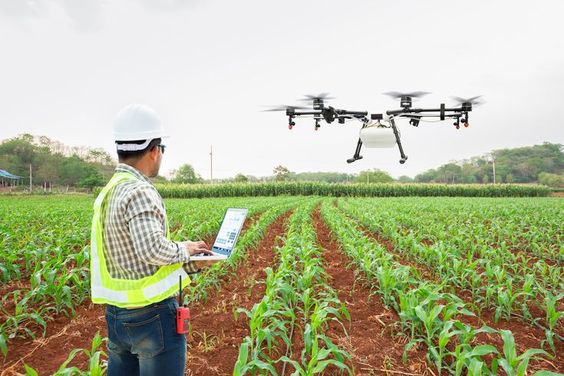 Technician,Farmer,Use,Wifi,Computer,Control,Agriculture,Drone,Fly,To