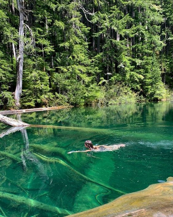 Nature swim