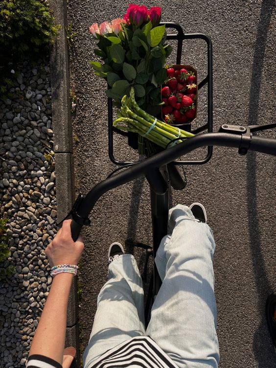 reducingcarbonfootprint-biking for groceries