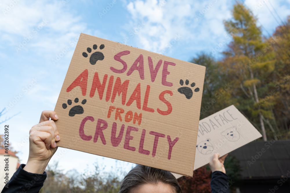 Safe animals from cruelty