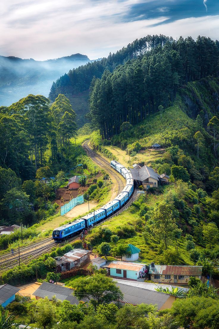 Train