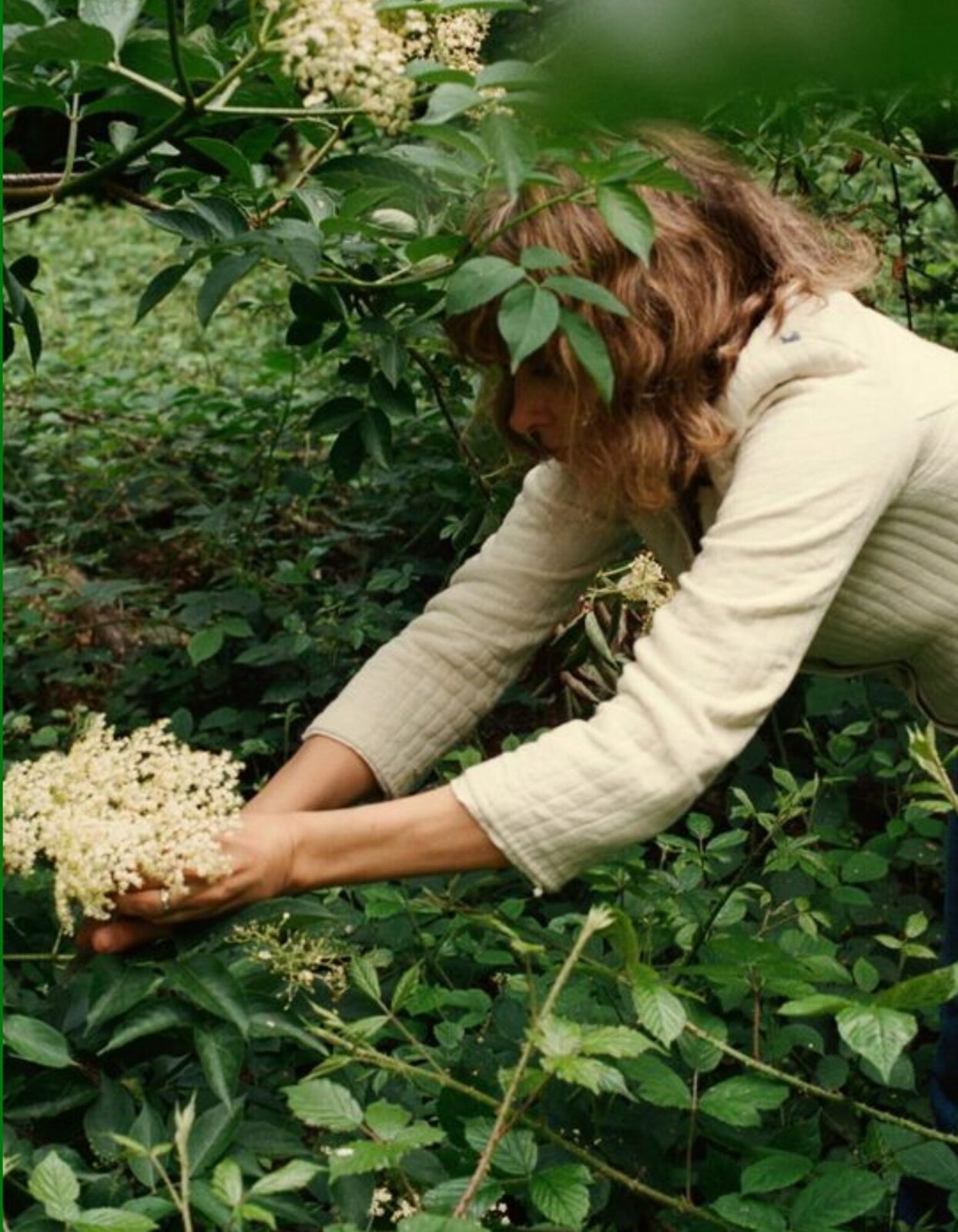 woman-picks-flowers-garden